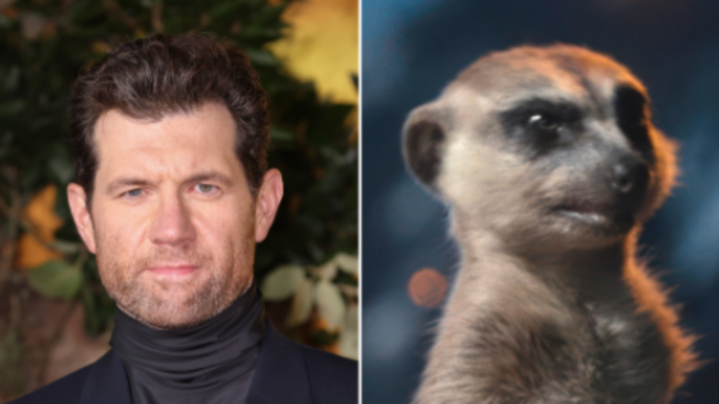 Timon (Billy Eichner)