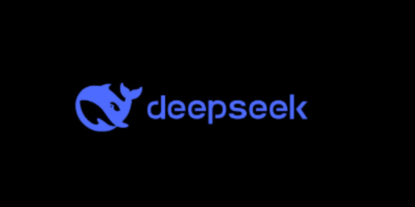 DeepSeek