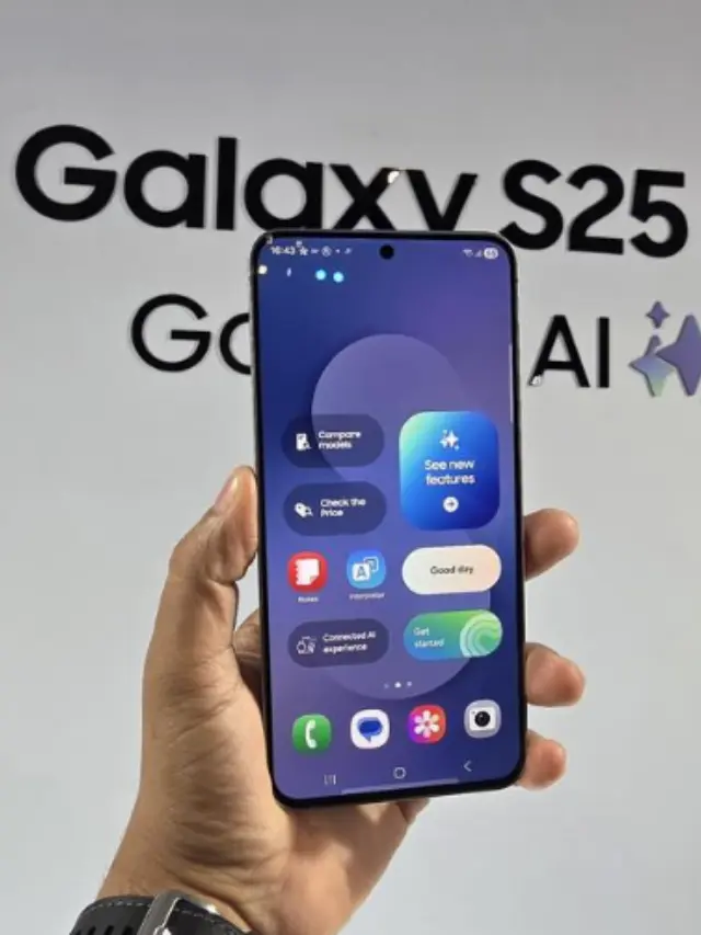Galaxy S25 FE Phone
