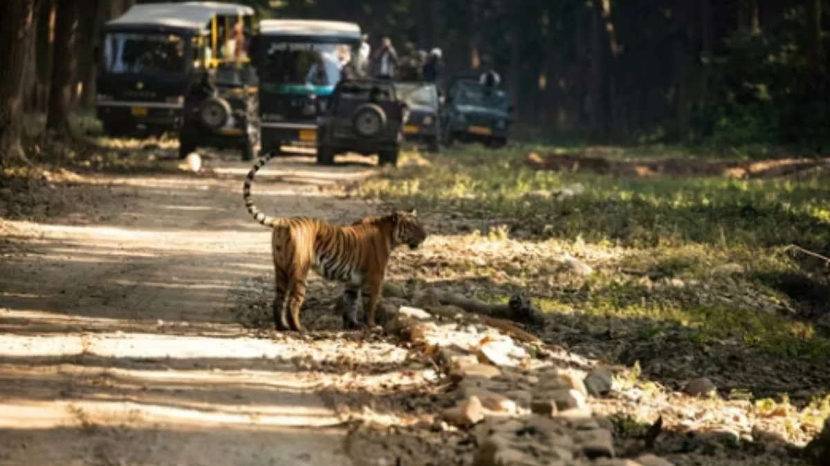 safari parks in India