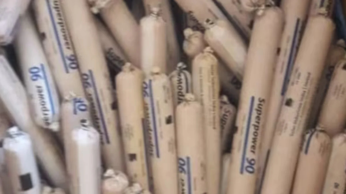 Uttarakhand Police found 161 gelatin sticks near the school.